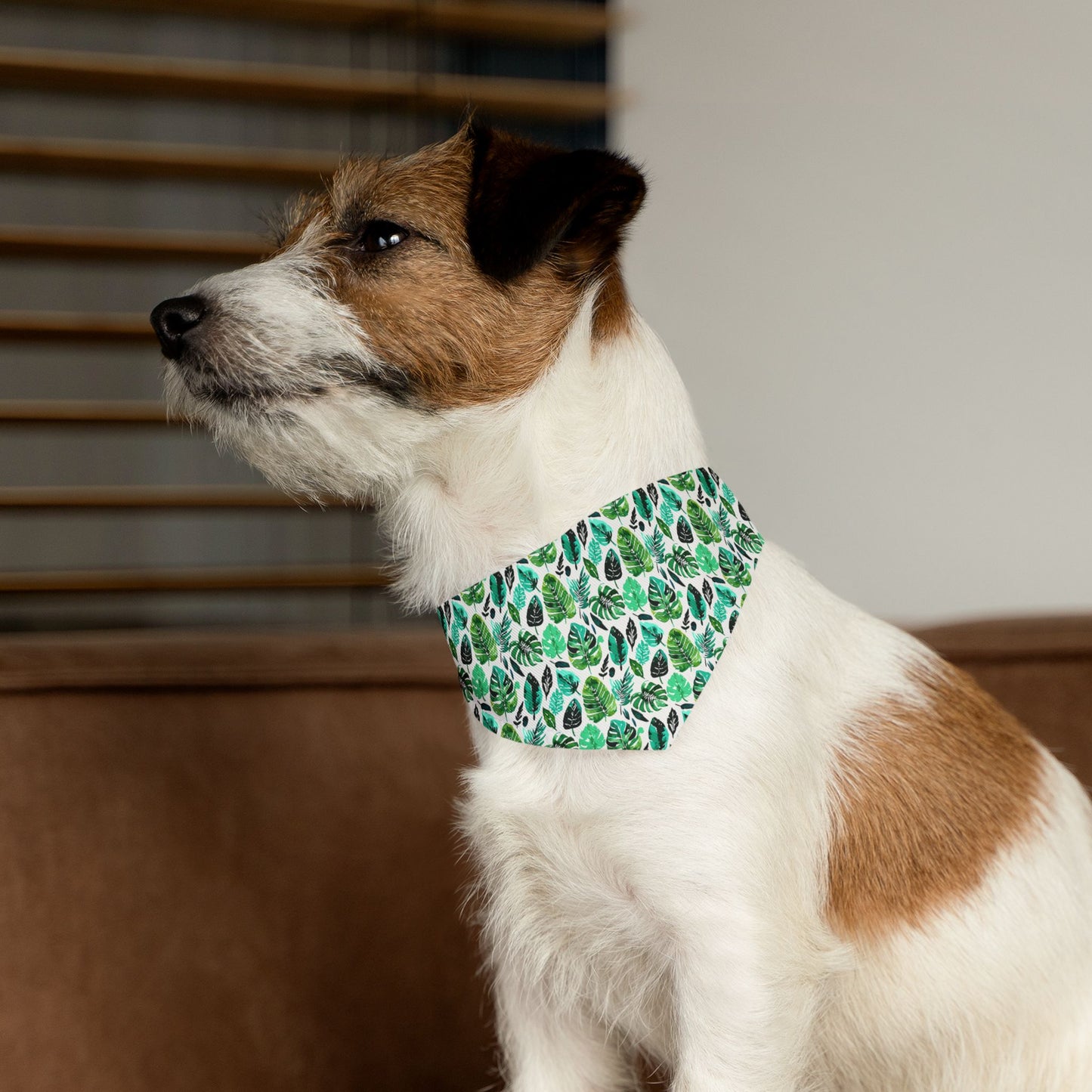 Tulum Bandana Collar