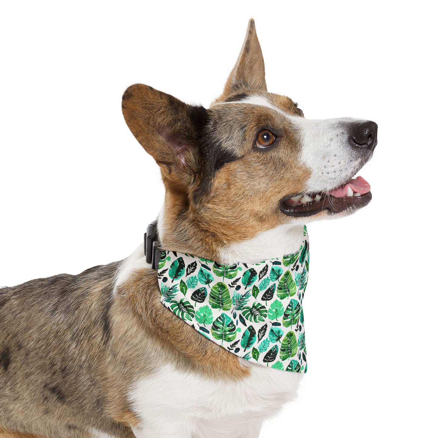 Tulum Bandana Collar