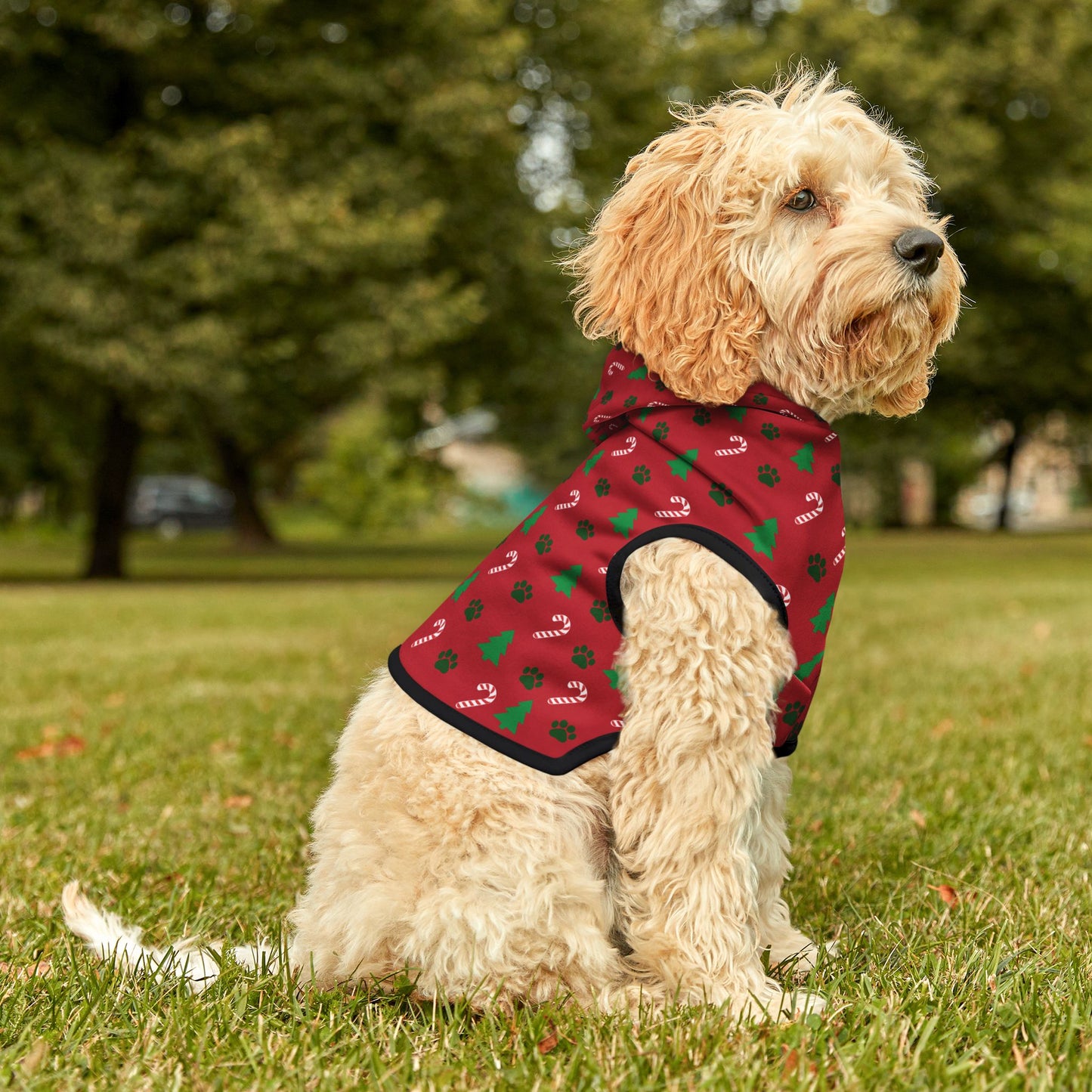 Christmas Tree and Paws Pet Hoodie