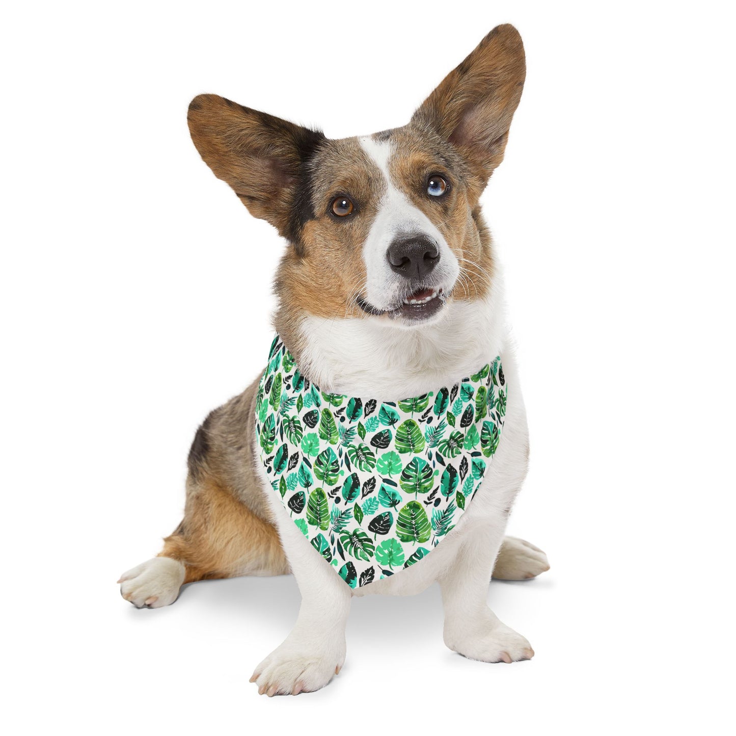 Tulum Bandana Collar