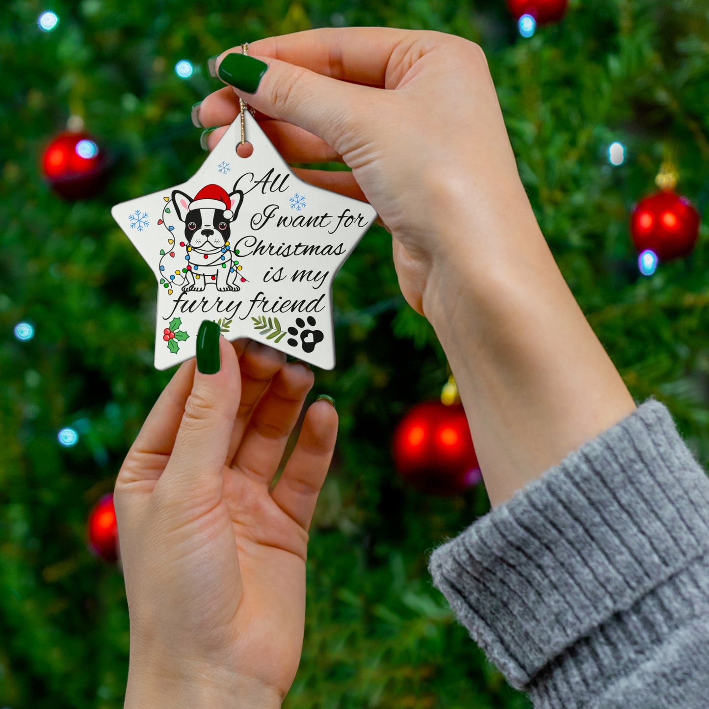 Ceramic Ornament - All I Want For Christmas is my Furry Friend Ornaments